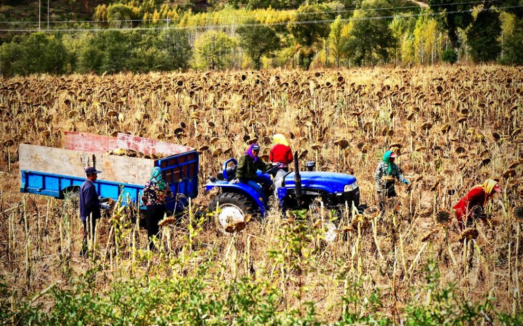 Diputado analiza impacto de politicas en el agro
